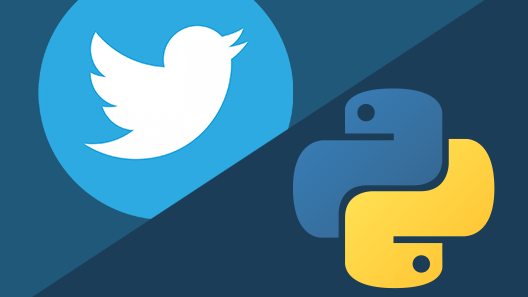 Bot Twitter